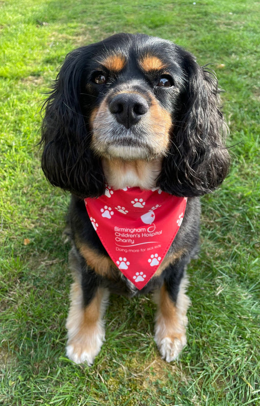 Birmingham Children's Hospital Charity Dog Bandana