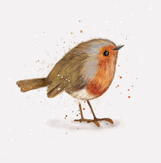 Pretty Robin