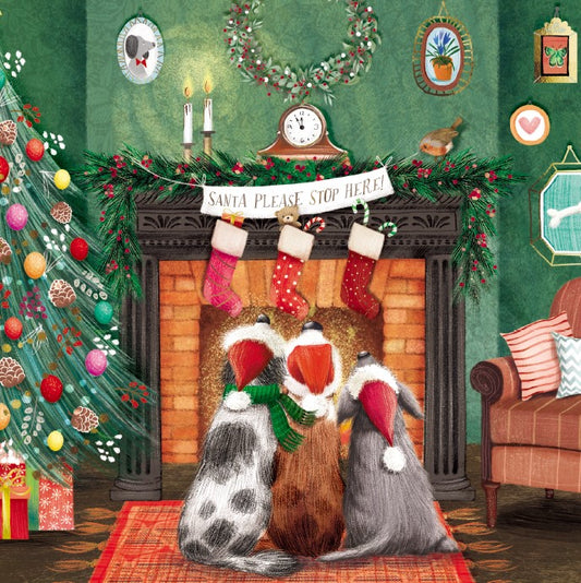 Waiting for Santa Paws