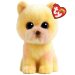 PALMER POMERANIAN - BOO - REG