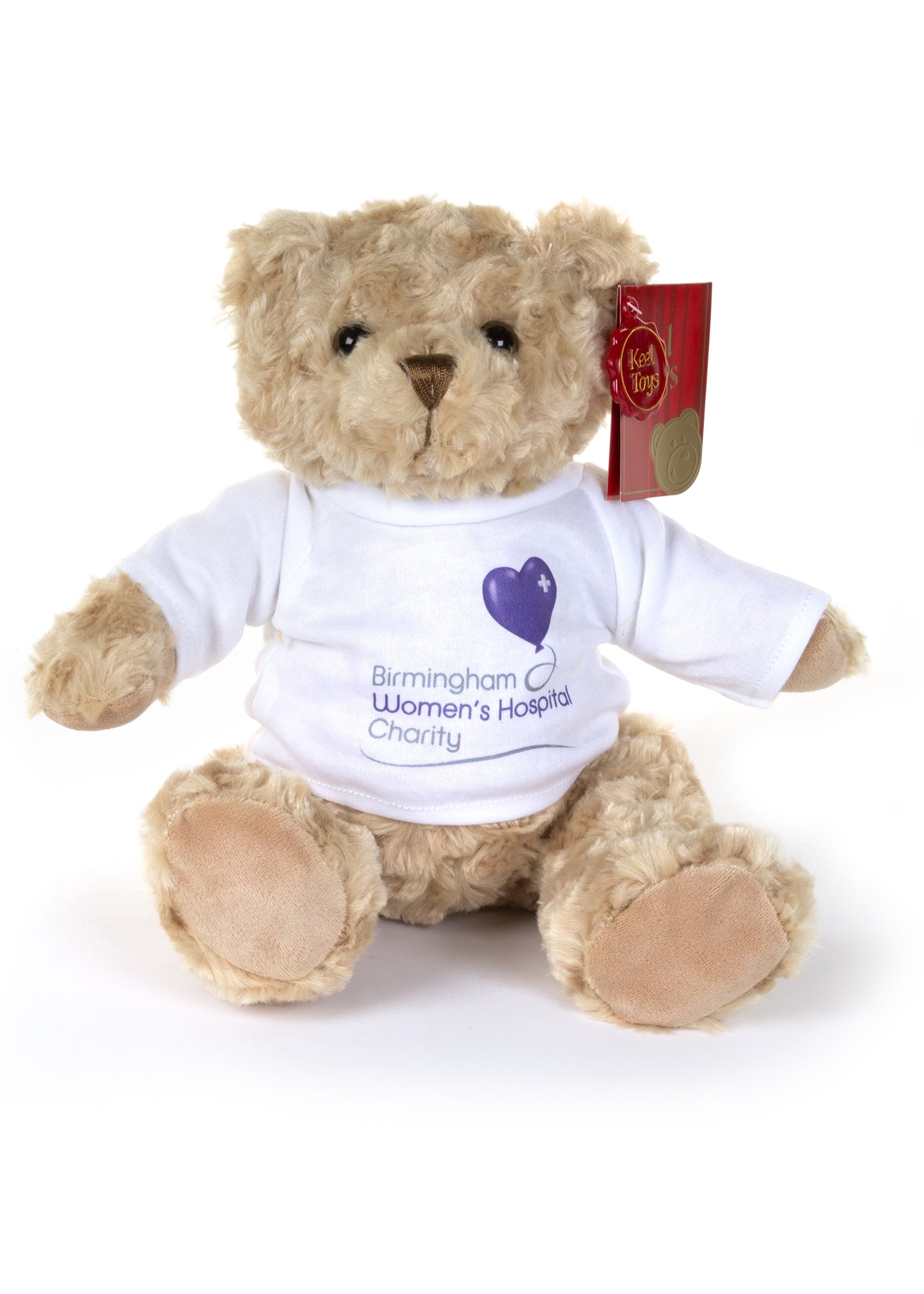 Birmingham Women's Hospital Charity Betsy Bear