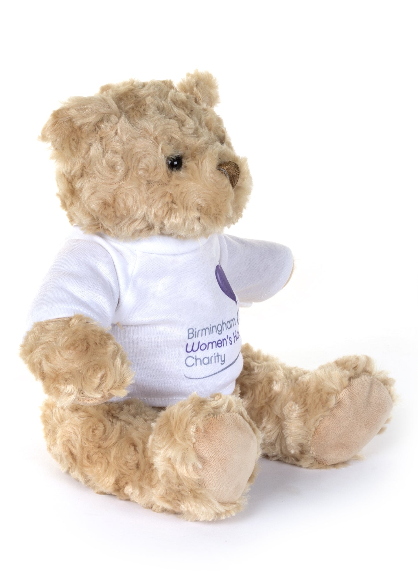 Birmingham Women's Hospital Charity Betsy Bear
